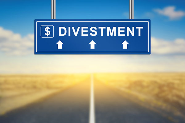 What is Government Divestment? Why has India not able to meet its divestment target?