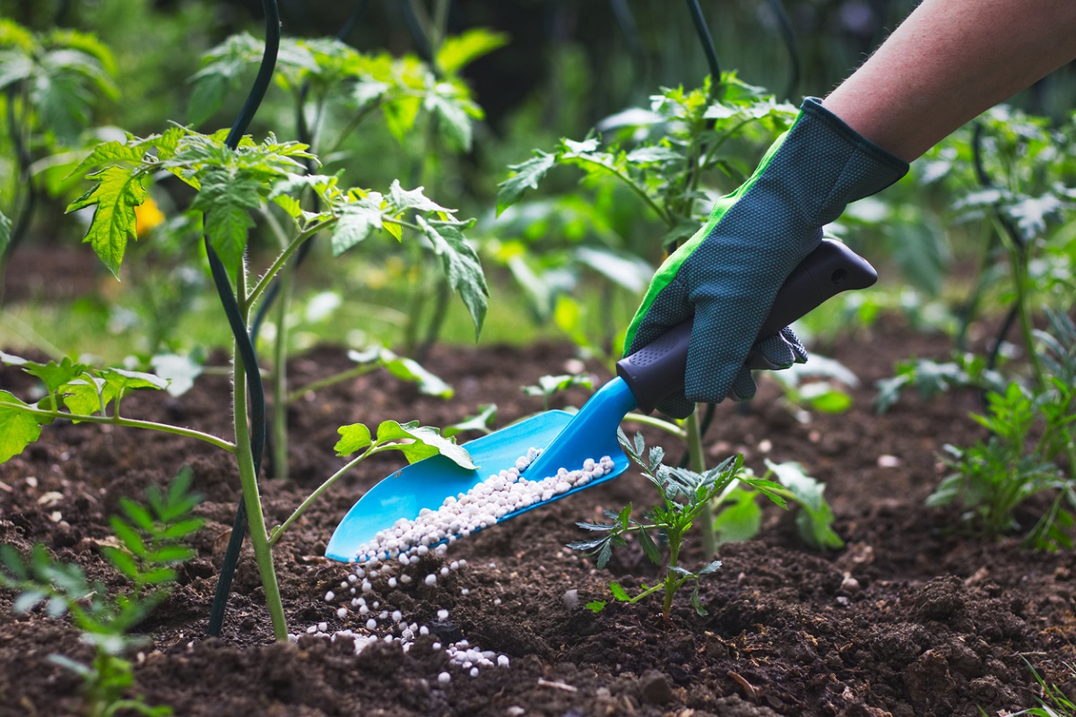 Nutrient-Based Subsidy (NBS) Scheme