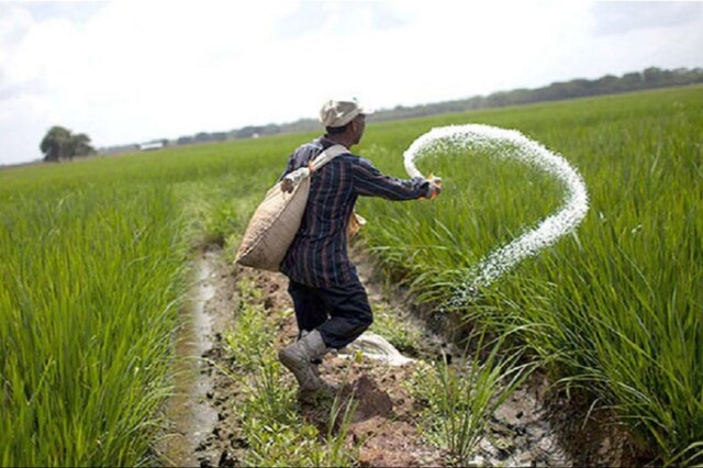 Seed Bill (Draft) 2019 Seed Bill (Draft) 2019